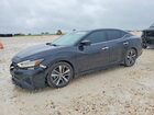 2019 Nissan Maxima Black vin: 1N4AA6AV9KC368229