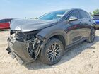 2025 Lexus Nx 350 Luxury Gray vin: 2T2HGCEZ6SC078987