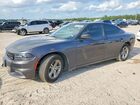 2018 Dodge Charger Sxt Gray vin: 2C3CDXBG6JH239008