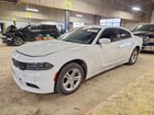 2020 Dodge Charger Sxt White vin: 2C3CDXBGXLH217550