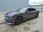 2019 Dodge Charger Scat Pack Gray vin: 2C3CDXGJ7KH564014