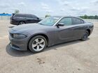 2017 Dodge Charger Sxt Gray vin: 2C3CDXHG7HH510059