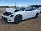 2020 Dodge Charger White vin: 2C3CDXJG5LH120211