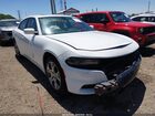 2016 Dodge Charger Sxt White vin: 2C3CDXJG6GH134611