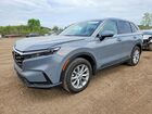 2024 Honda Cr-v Ex Gray vin: 2HKRS4H49RH441609