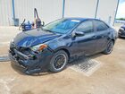 2019 Toyota Corolla Le Blue vin: 2T1BURHE8KC163764