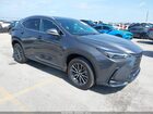 2025 Lexus Nx 250   Gray vin: 2T2ADCAZ4SC019954
