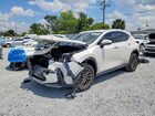 2025 Lexus Nx 250 Base White vin: 2T2ADCAZ7SC018913