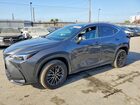 2024 Lexus Nx 250 Base Gray vin: 2T2ADCAZ9RC009947