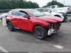 2025 Lexus Nx 250 Premium Red vin: 2T2GDCAZ8SC022558