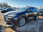 2023 Lexus Nx 350 Premium Black vin: 2T2GGCEZ5PC022073