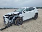 2026 Lexus Nx 350 Premium Silver vin: 2T2GGCEZXTC097720