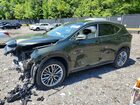 2026 Lexus Nx 350h Luxury Green vin: 2T2HKCEZXTC066471