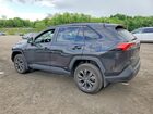 2024 Toyota Rav4 Xle Premium Black vin: 2T3B6RFV4RW073492