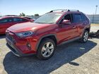 2019 Toyota Rav4 Limited Red vin: 2T3DWRFV6KW038547