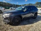 2025 Toyota Rav4 Le Gray vin: 2T3H1RFV4SC316153