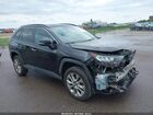 2019 Toyota Rav4 Limited Черный vin: 2T3N1RFV6KC020473