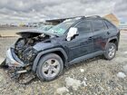 2023 Toyota Rav4 Xle Black vin: 2T3P1RFV0PW379073