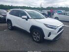 2024 Toyota Rav4 Xle White vin: 2T3P1RFV1RC418161