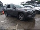 2024 Toyota Rav4 Xle Gray vin: 2T3P1RFV6RC401095