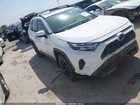 2023 Toyota Rav4 Xle White vin: 2T3W1RFV0PW274934