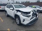 2019 Toyota Rav4 Xle White vin: 2T3W1RFV1KW024174