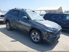 2024 Toyota Rav4 Xle Gray vin: 2T3W1RFV5RC253663