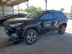 2024 Toyota Rav4 Xle Black vin: 2T3W1RFVXRW312737