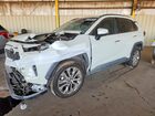 2019 Toyota Rav4 Limited White vin: 2T3Y1RFV1KW021770