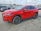 2022 Lexus Nx 250 Red vin: 2T2ADCEZ5NC001428