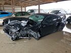 2025 Ford Mustang Black vin: 1FA6P8TH9S5131333