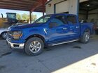 2024 Ford F150 Xlt Blue vin: 1FTFW3LD0RFA73405