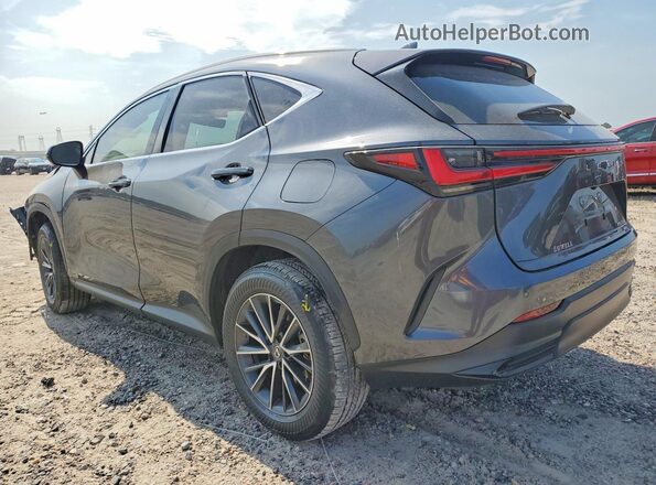 2T2HGCEZ6SC078987 2025 LEXUS NX Gray უკანა მარჯვენა