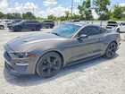 2021 Ford Mustang Gray vin: 1FA6P8TH1M5125948