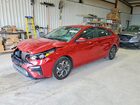 2019 Kia Forte Lxs Burgundy vin: 3KPF24AD9KE061709
