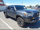 2023 Toyota Tacoma Trd Off Road Gray vin: 3TMCZ5AN2PM553301