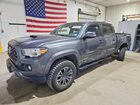 2021 Toyota Tacoma Trd Sport Gray vin: 3TMCZ5ANXMM404419