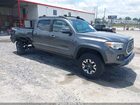2019 Toyota Tacoma Trd Off Road Gray vin: 3TMDZ5BNXKM069341