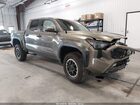 2025 Toyota Tacoma Trd Off Road Green vin: 3TMLB5JN4SM092776