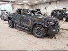2024 Toyota Tacoma Trd Sport Gray vin: 3TMLB5JNXRM012388