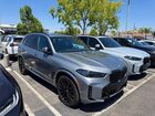 2025 Bmw X5 Sdrive 40i Gray vin: 5UX13EU02S9X86691