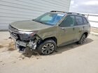 2026 Subaru Forester Premium Green vin: 4S4SLDD64T3052087
