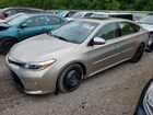 2016 Toyota Avalon Xle Premium Beige vin: 4T1BK1EB1GU228381
