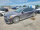 2023 Toyota Camry Le Gray vin: 4T1C31AK3PU615490