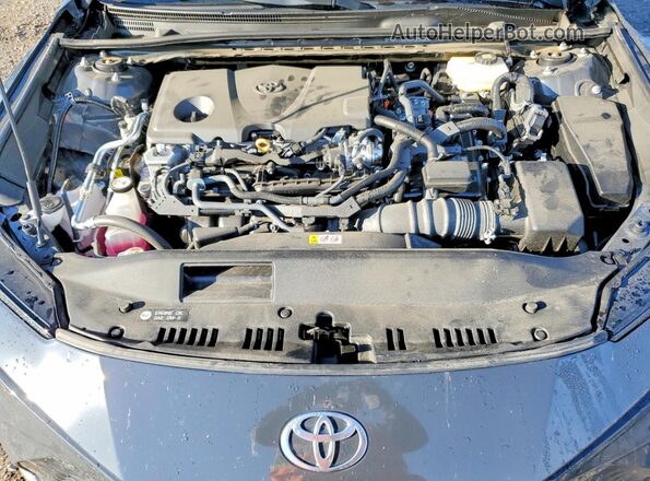 4T1DAACK6SU010248 2025 TOYOTA CAMRY Серый Вид задней части салона