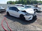 2022 Toyota Camry Trd White vin: 4T1KZ1AK8NU068613