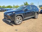 2025 Toyota Rav4 Hybrid Xle Black vin: 4T3RWRFV4SU198285