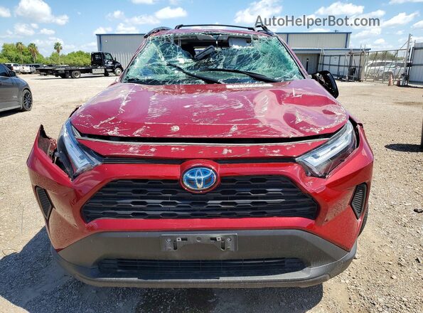 4T3RWRFV5RU127381 2024 TOYOTA RAV4 Темно-бордовый Вид спереди