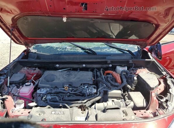 4T3RWRFV5RU127381 2024 TOYOTA RAV4 Темно-бордовый Вид задней части салона