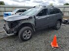 2025 Toyota Rav4 Hybrid Xle Gray vin: 4T3RWRFV6SU190804